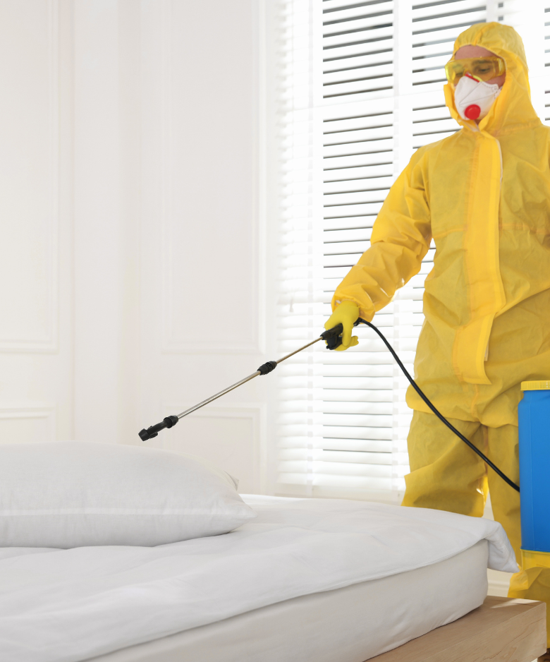 Professional Pest Control Team in Andrews Farm